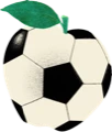 Regnyctix.com - NYC Resident Registration – NYNJ World Cup